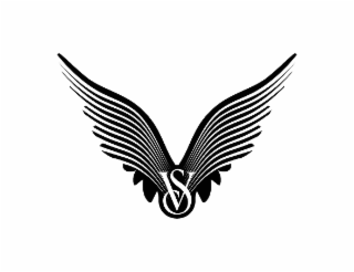 VS logo