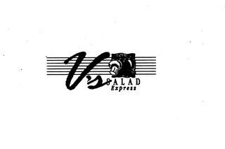 V'S SALAD EXPRESS logo