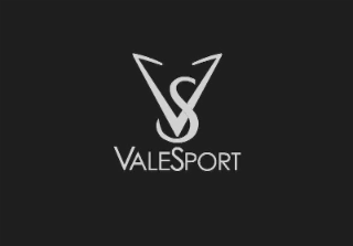 VS VALESPORT logo