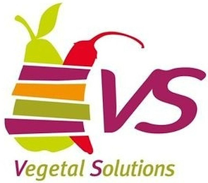 VS VEGETAL SOLUTIONS logo