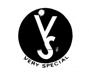 VS VERY SPECIAL logo