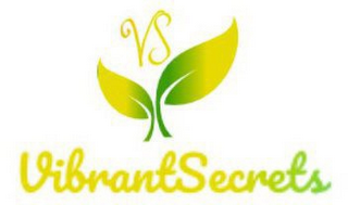VS VIBRANTSECRETS logo