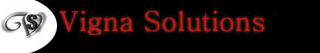 VS VIGNA SOLUTIONS logo