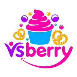 VSBERRY logo