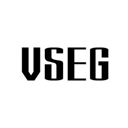 VSEG logo