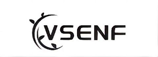 VSENF logo
