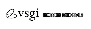 VSGI HOW DO YOU COMMUNICATE? logo