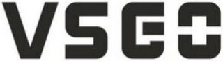 VSGO logo