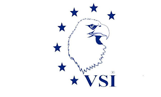 VSI logo