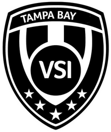VSI TAMPA BAY logo