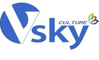 VSKY CULTURE logo