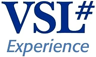 VSL#EXPERIENCE logo