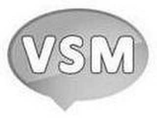 VSM logo
