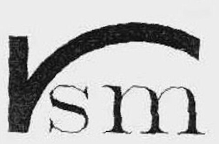 VSM logo