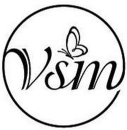 VSM logo