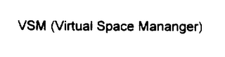 VSM (VIRTUAL SPACE MANAGER) logo