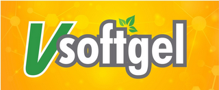 VSOFTGEL logo