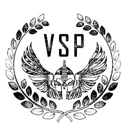 VSP logo