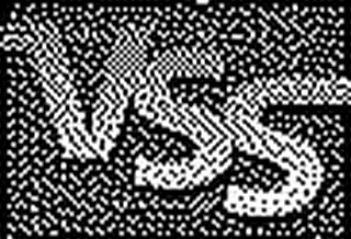 VSS logo