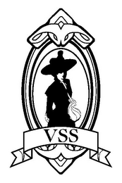 VSS logo