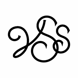 VSS logo