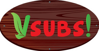 VSUBS logo