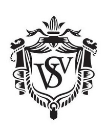 VSV logo