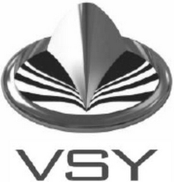 VSY logo