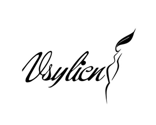 VSYLICN logo