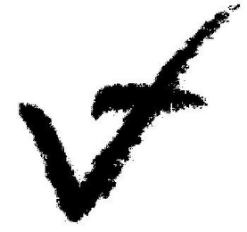 VT logo