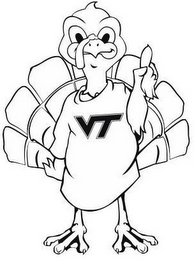 VT logo