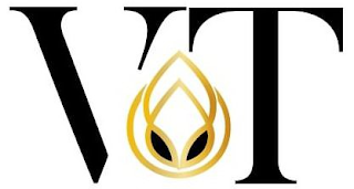 VT logo