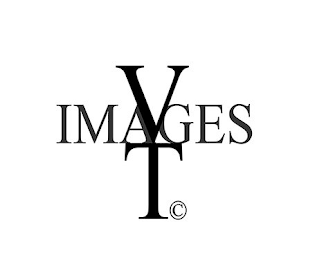 VT IMAGES logo