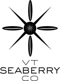VT SEABERRY CO logo