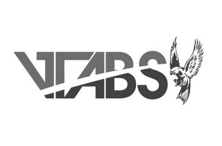VTABS logo