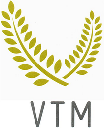 VTM logo