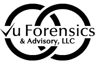 VU FORENSICS & ADVISORY, LLC logo