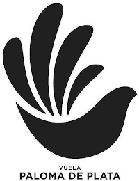 VUELA PALOMA DE PLATA logo