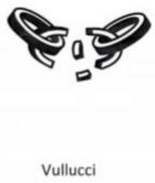 VULLUCCI logo
