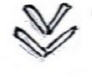 VV logo