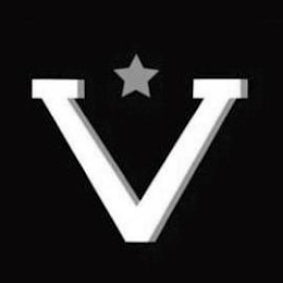 VV logo