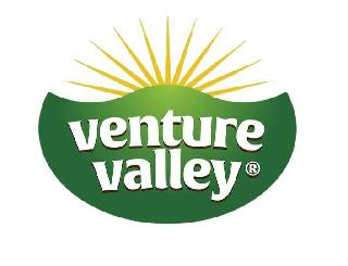 VV logo
