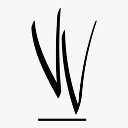 VV logo
