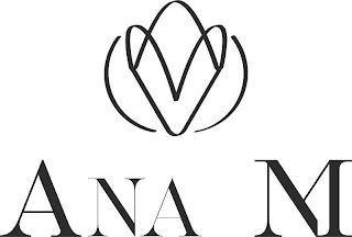 VV ANA M logo