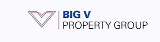 VV BIG V PROPERTY GROUP logo
