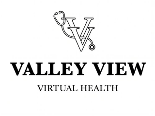 VV VALLEY VIEW VIRTUAL HEALTH logo