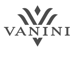 VV VANINI logo