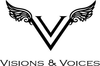 VV VISIONS & VOICES logo