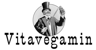 VV VITAVEGAMIN logo