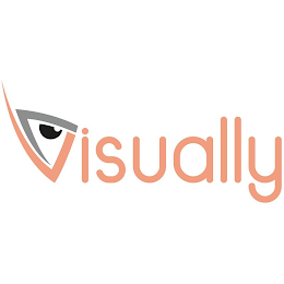 VVISUALLY logo